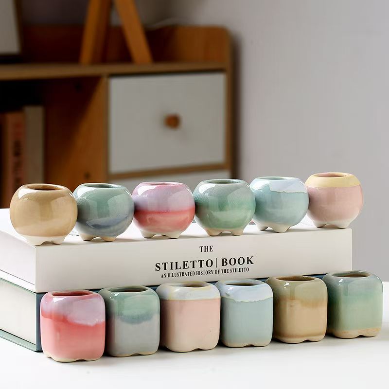 6Pcs Mini Flowerpot Succulents - đánh giá và giá Echeveria Succulent