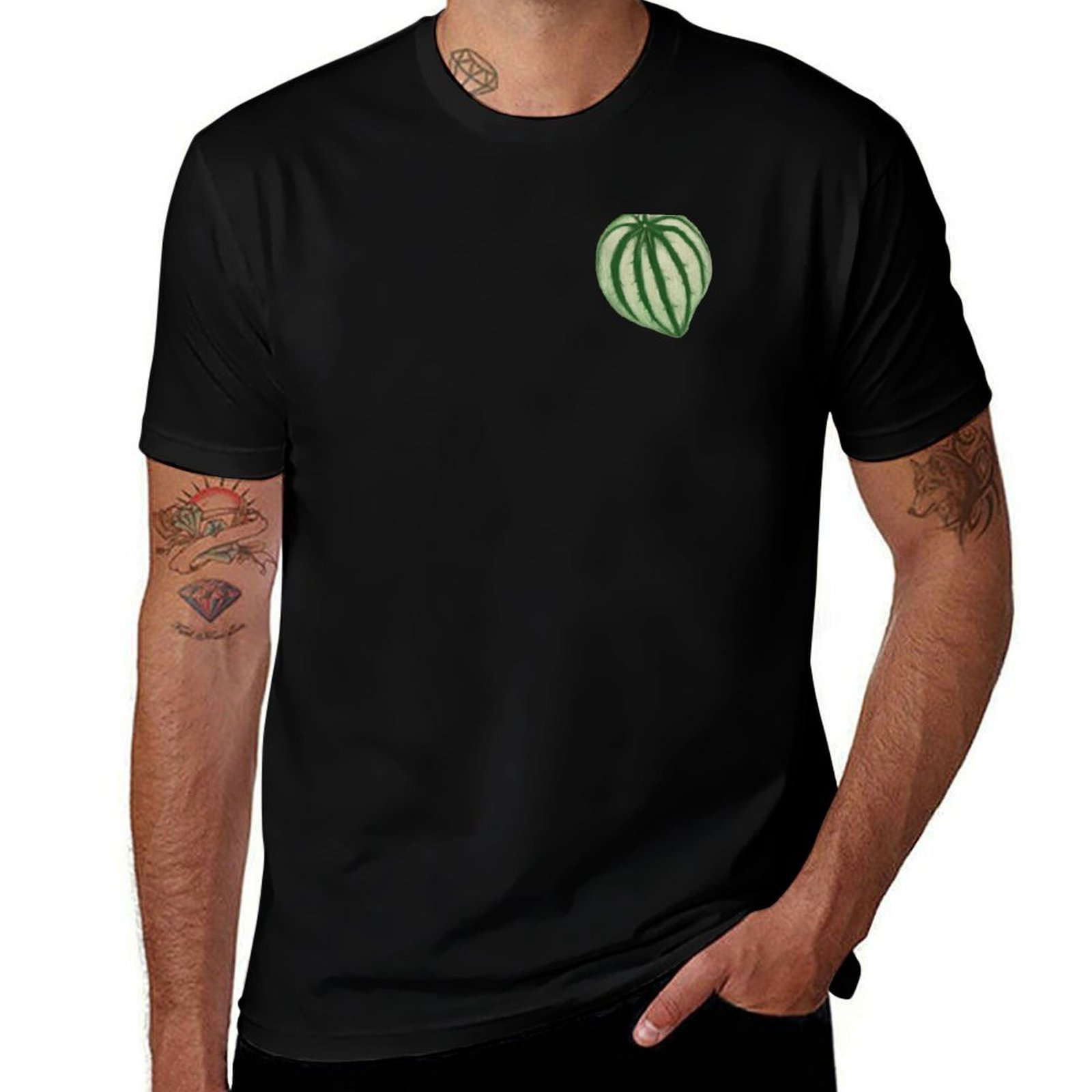 Watermelon Peperomia T-Shirt C - đánh giá và giá Peperomia Watermelon