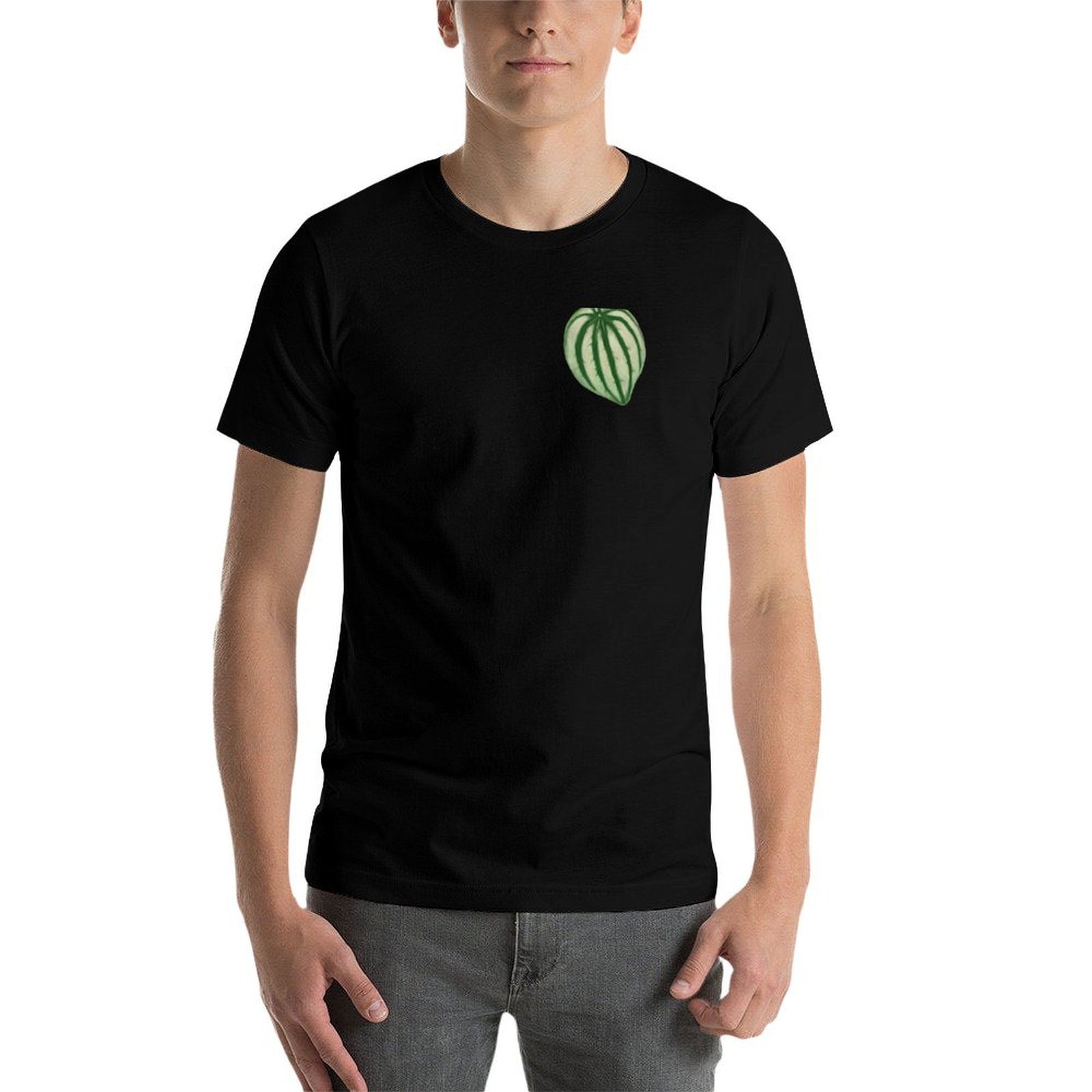 Watermelon Peperomia T-Shirt C - đánh giá và giá Peperomia Watermelon