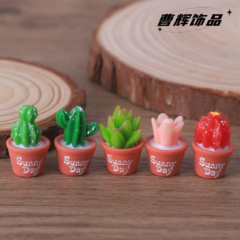 5pcs Simulation succulent pott - đánh giá và giá Echeveria Succulent
