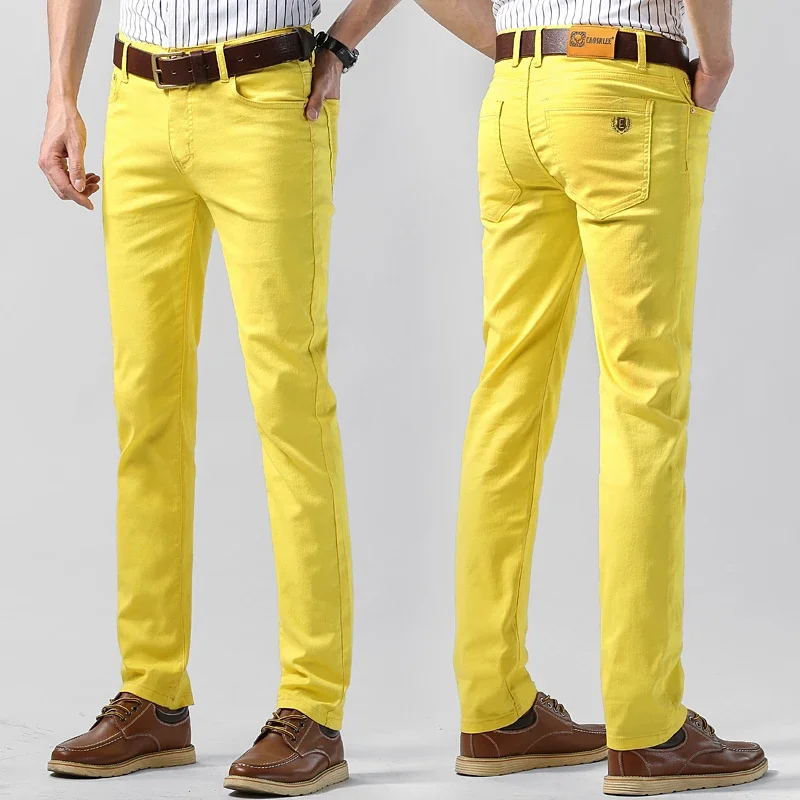 5 Colors Men's Colorful Denim  - đánh giá và giá Aglaonema Red